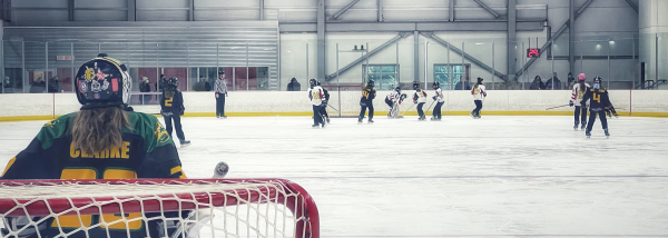 Goalie Development